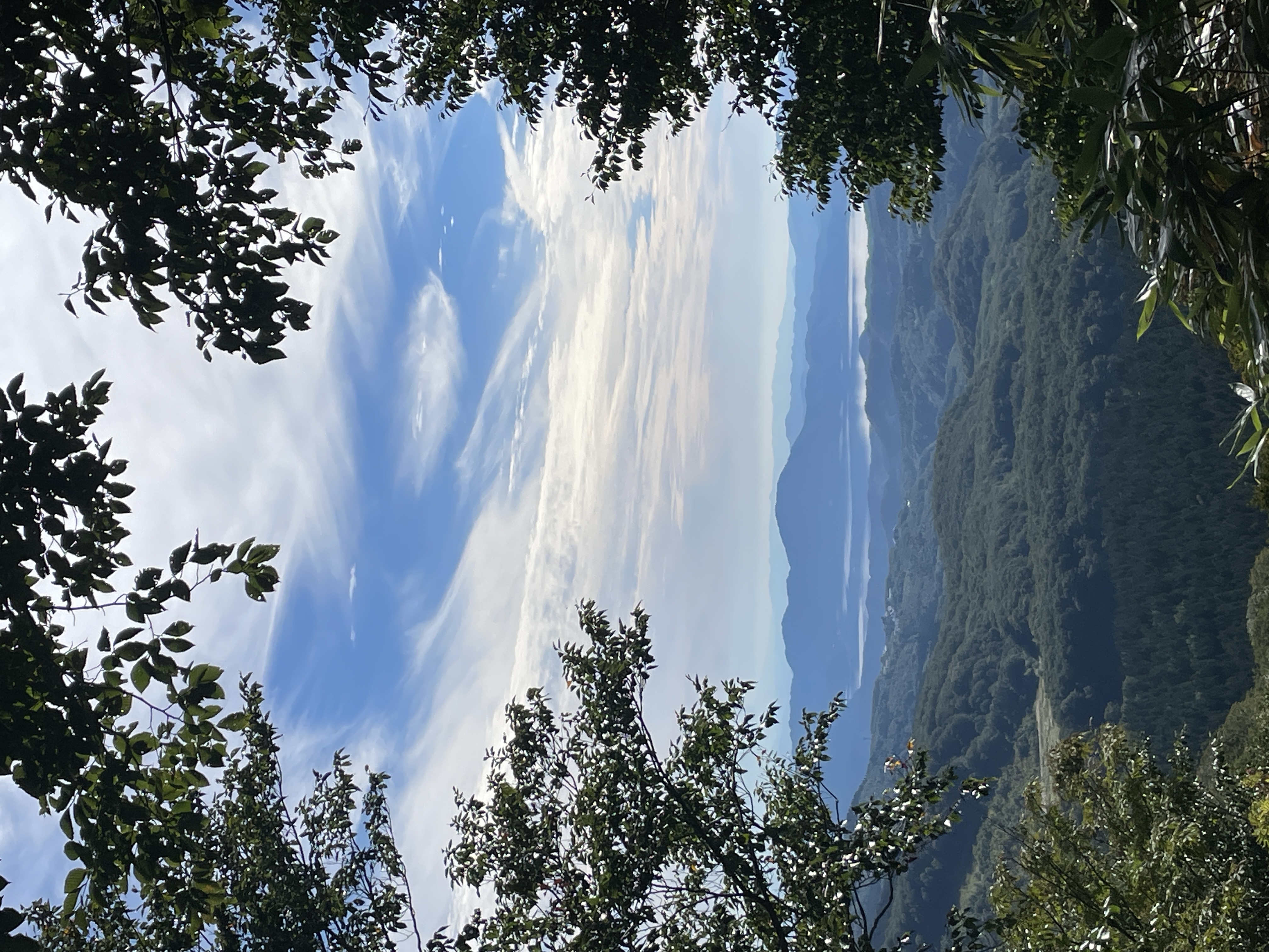 Wilde Natur - Foto 5