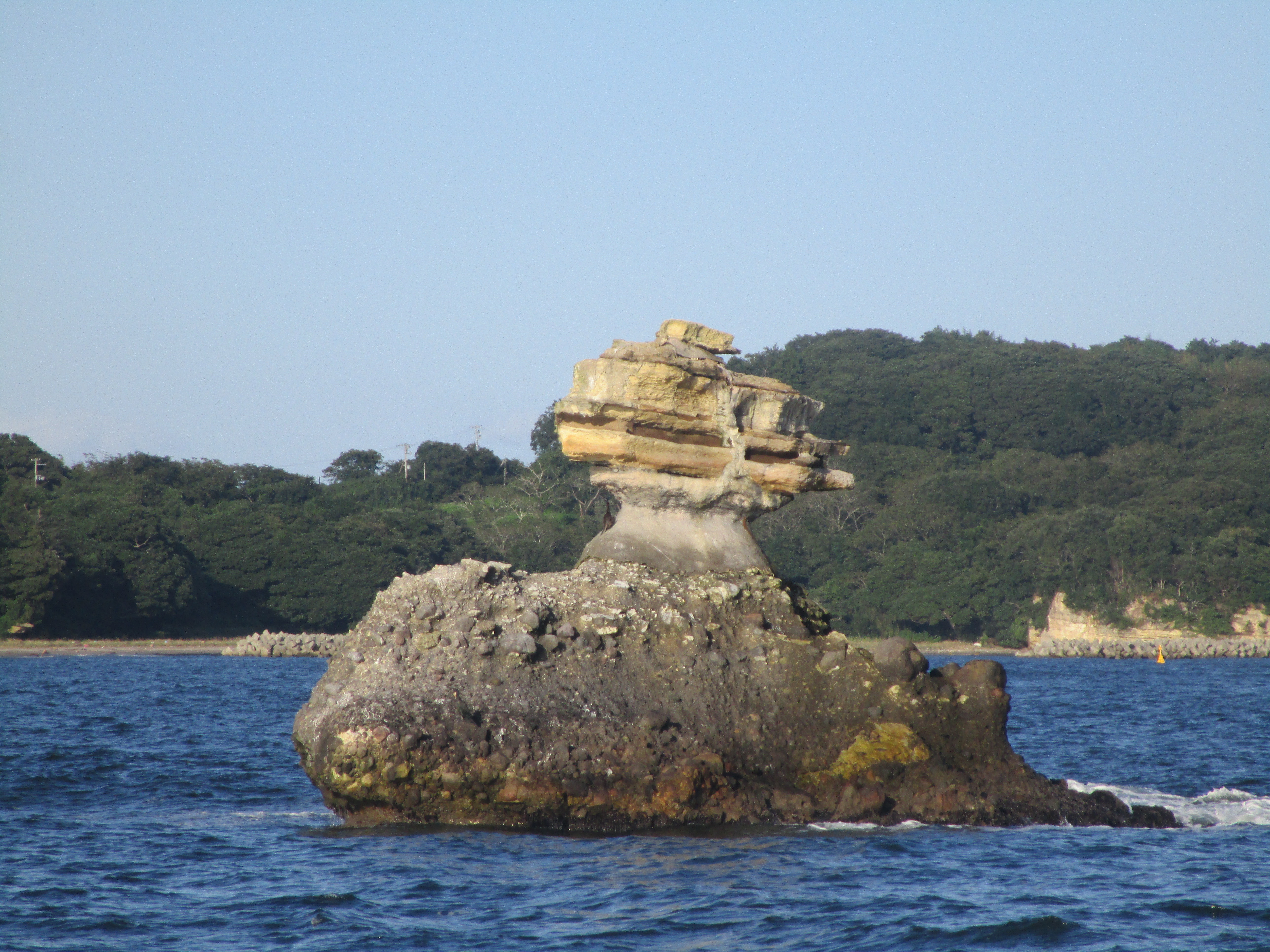 Arigato gozaimashita! - Foto 6